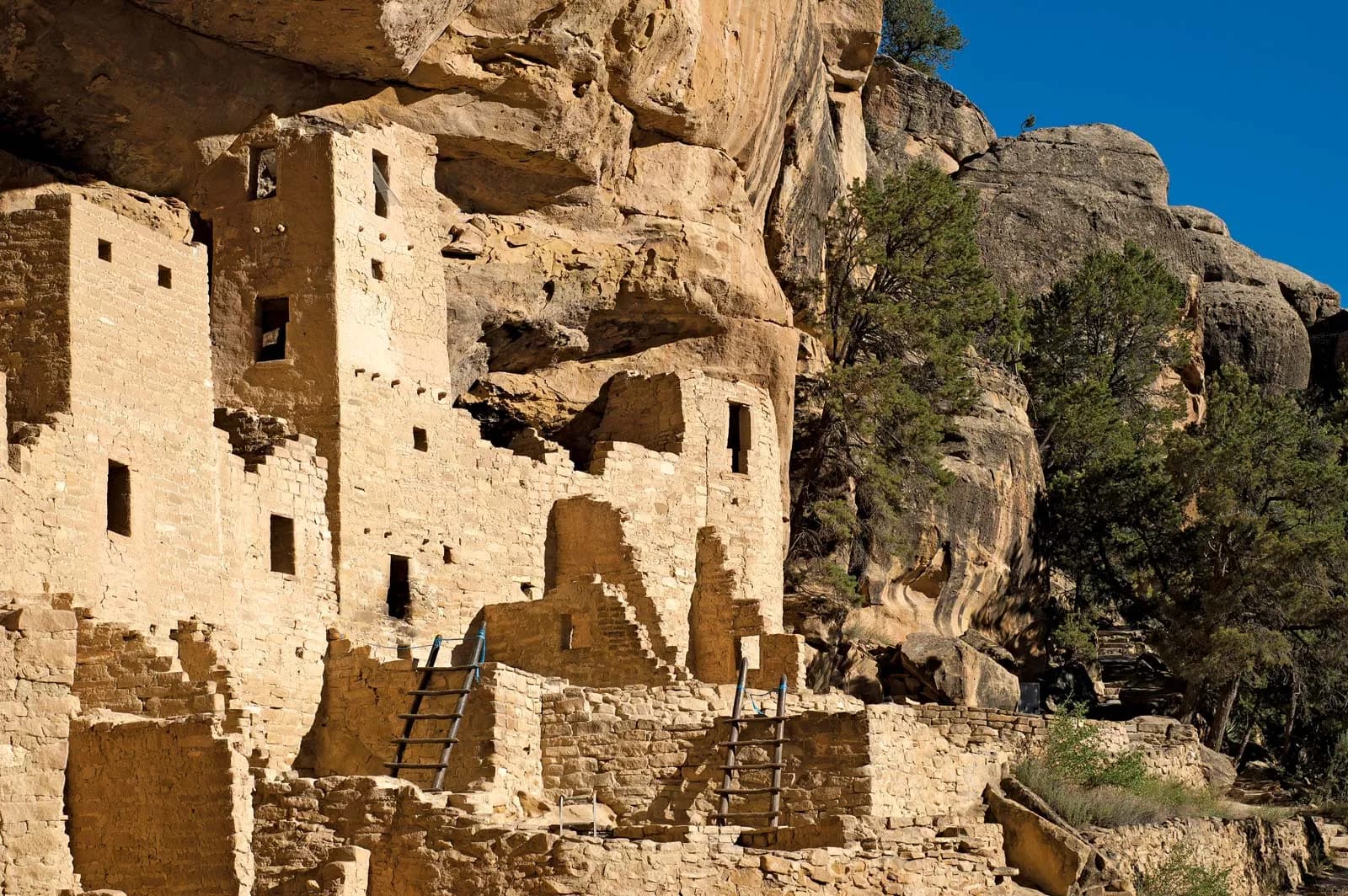 Ancient cliff dwellings nestled among rocky formations and pine trees.