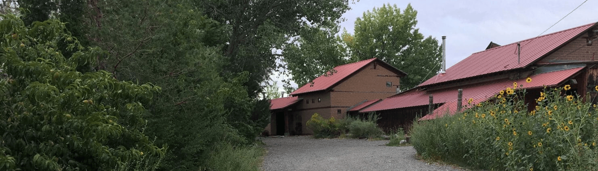 A gravel path leads to a building with a red roof, surrounded by greenery and sunflowers.